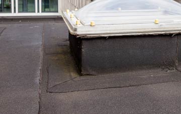 disadvantages of Goonvrea flat roofs