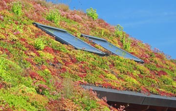 Goonvrea living roof systems