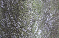 Goonvrea fibreglass roof work