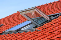 Goonvrea roof window